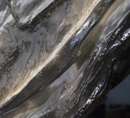 PALEOLITHIK CETACEA – Image 6