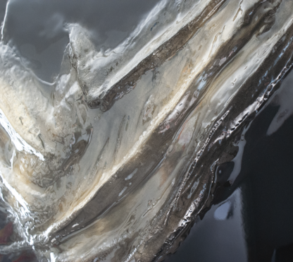 PALEOLITHIK CETACEA – Image 5