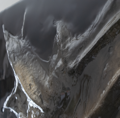 PALEOLITHIK CETACEA – Image 3