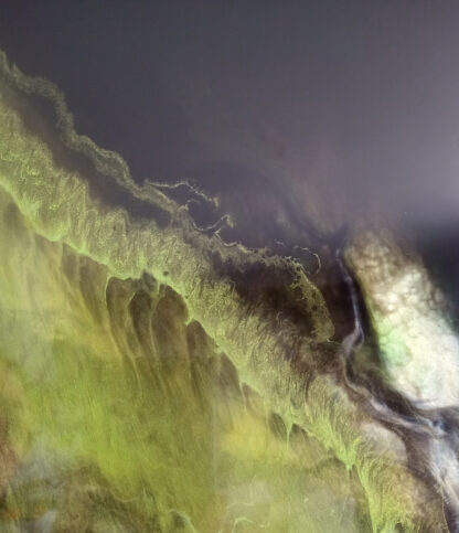 NONAME #2 – Image 3