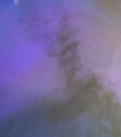 L'HEURE BLEUE – Image 3