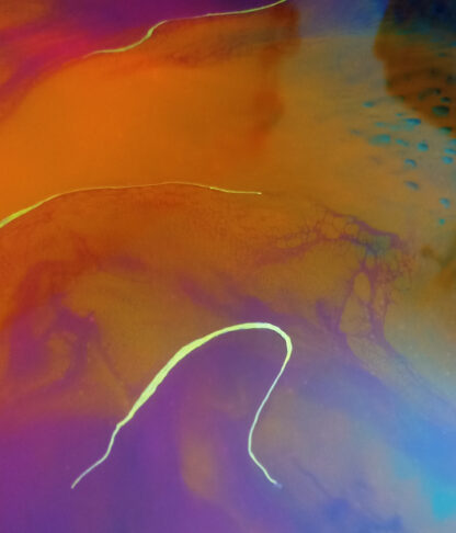 SYNAPSE – Image 8