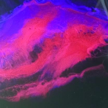KOSUI – Image 4