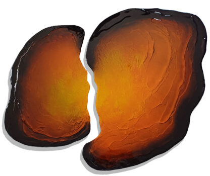 FRAGMENTS – Image 4