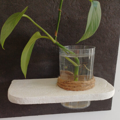 Wallbloom White – Image 4