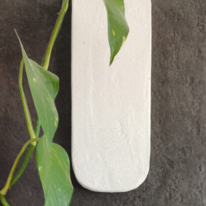Wallbloom White – Image 6