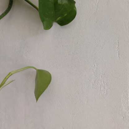 WALLBLOOM SERIE 2 – Image 4
