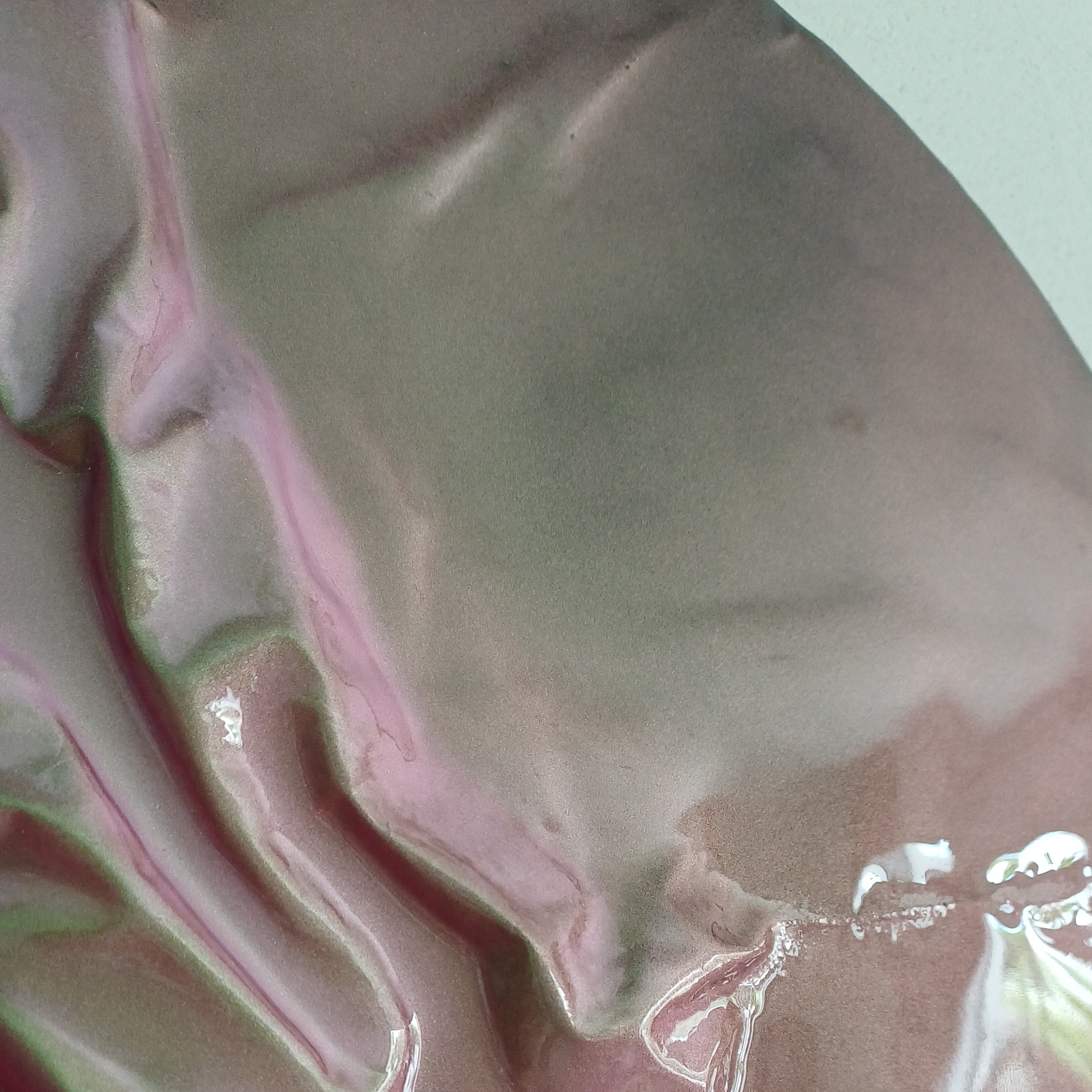 NOSTALGIA - Wrapping colors série – Image 3